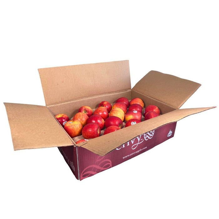 Fresh - Red Grapes - 4023