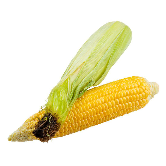 Fresh - Corn