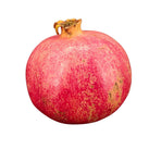 Fresh - Pomegranate