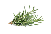 Fresh - Rosemary