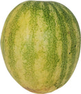 Fresh - Watermelon - Seed / Seedless - X-Large