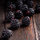 Fresh - Blackberry