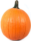 Pumpkin Halloween - Large