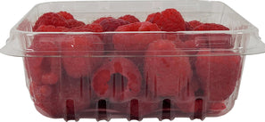 Fresh - Raspberry